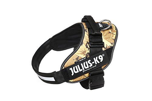 Julius K9 16idc At Idc Powerharness Dog Harness Size