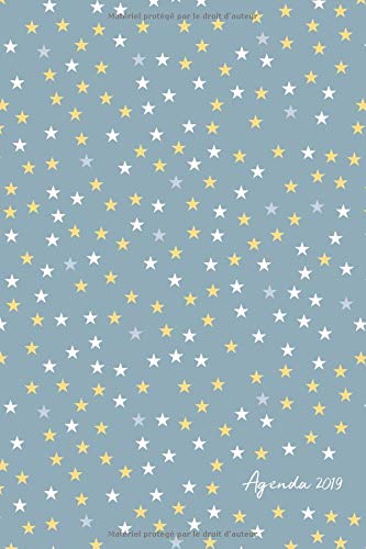 Download Agenda 2019: Agenda Janvier à Décembre 2019, Semainier simple & graphique, motif scandinave étoiles bleu