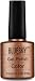 Bluesky UV/LED Gel Nail Polish, Chritmas Duo Tinsel Toast and Ruby Ritz