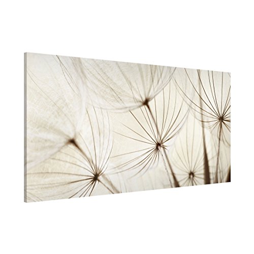 Apalis 108830 Magnettafel Sanfte Gräser Memoboard Design Quer Metall Magnet Pinnwand Motiv Wand Stahl Küche Büro, 37 x 78 cm