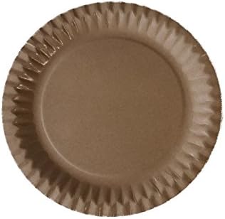 100 Paper Plates, 23 cm Diameter, Round, Biodegradable, Natural Brown, Coated Polypropylene, Disposable, for Grilling and Cake