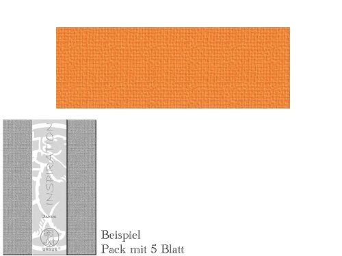 Preisvergleich Produktbild Tonkarton / Karten selbst gestalten