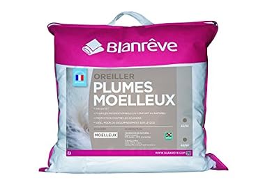 Blanrêve Oreiller Naturel Moelleux 60 x 60