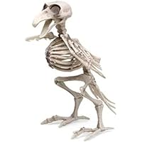 Boland 72405 - Scheletro drago, misura 37 cm, bocca mobile, drago, drago, finta plastica, decorazione per Halloween, carnevale o festa a tema