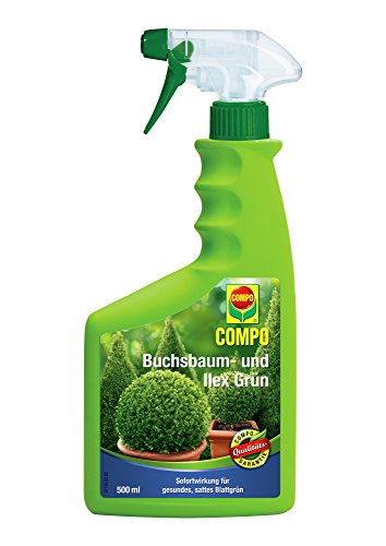 COMPO Buchsbaum Grün, Pflanzenhilfsmittel, Pumspray für alle Buchsbäume und immergrüne Pflanzen, 500 ml
