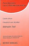 Cover zum Buch Analysen und Reflexionen: Friedrich S...
