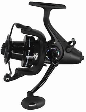 Fishing Reel Spinning Reels Carp Fishing Reels 5.11 13 Ball Bearings ExchangableSea Fishing Fly Fishing Spinning Jigging Fishing , 6000