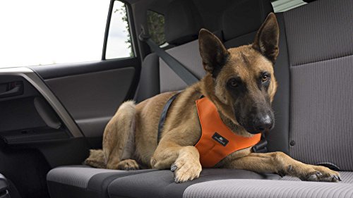 clickit Sport - Arnés de seguridad de perro Segura crash-tested coche Arnés por sleepypod