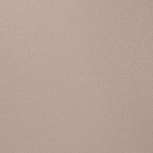 Simplehuman Gallon Poubelle de Cuisine rectangulaire en Acier Inoxydable avec Poche intérieure, Acier Inoxydable, Rosagold, 33,8 x 40,4 cm