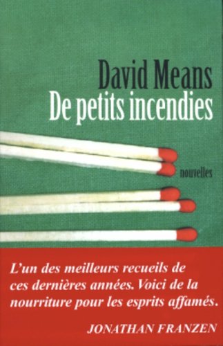 couverture de : De petits incendies