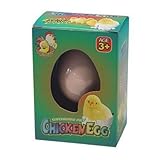Hatching Chicken Egg