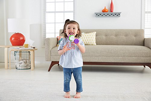 Fisher-Price Le Micro de Puppy Jouet Bébé, Deux Modes de Jeu pour Apprendre en Musique et Enregistrer Sa Voix, 18 Mois et Plus, FBP31 – Image 7