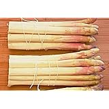 100 weisser Spargel"Argenteuil" Samen, Asparagus officinalis, aus Frankreich