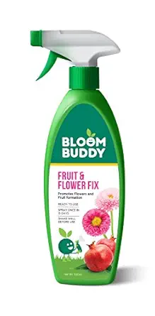 BLOOMBUDDY Fruit and Flower Fix (500 ml)