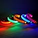 Produktbild LED-Hundehalsband / Leuchthalsband aus Nylon, mit blauem Blinklicht Orange