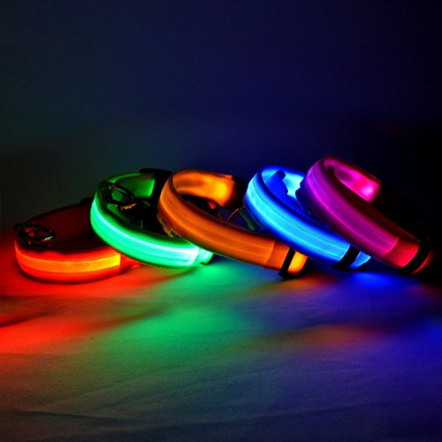 Preisvergleich Produktbild LED-Hundehalsband / Leuchthalsband aus Nylon, mit blauem Blinklicht Orange