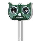 Repulsif A Ultrasons Pour Chat Atouts Specificites Ooreka