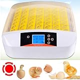 【Hohe Inkubationsrate】Der inkubator mit einfach und automatischer Operation eine hohe Schlupfrate gesunder Hühner können erreichen.Nr. 1, ein turbo Lüfter für Luftzirkula.Nr.2, Wasserkanal für die Zugabe Wasser um die Feuchtigkeit und Wärme auszugleichen.Bei richtiger und sogfältiger Handhabung des Egg-Incubators erreichen Sie einwandfreie Brutreihen und eine hohe Schlupfrate gesunder Küken.