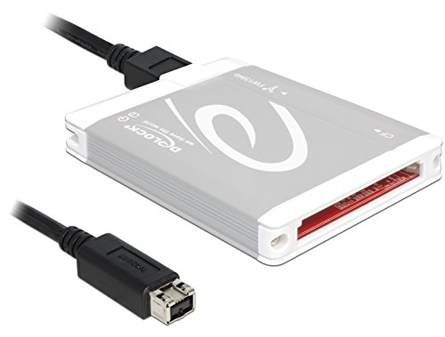 DELOCK Card Reader-FireWire B CF extern - 3