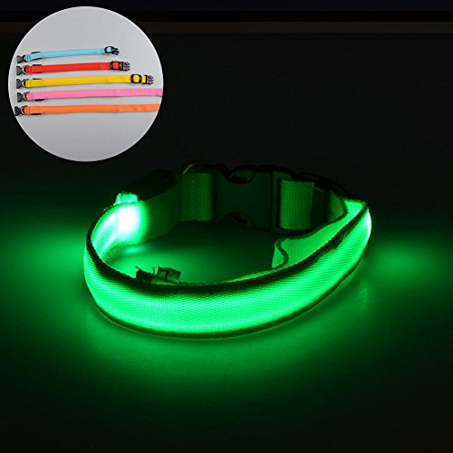 Preisvergleich Produktbild JINM LED Hundehalsband, Ultra Bright USB Rechargeable LED Safety Dog Halsband