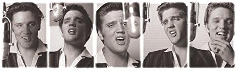 Elvis Presley In Sepia Rock Music Poster 12 x 36 inches (without border: 9.5 x 34 inches) by Imaginus Posters