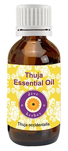 Pure Thuja Essential Oil 10ml (Thuja occidentalis)