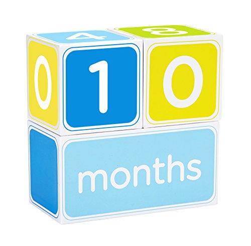 Pearhead Milestone Block Set (Blue)