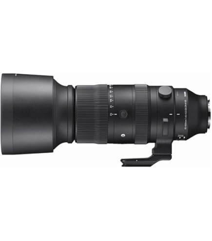 Sigma 60-600mm f/4.5-6.3 DG OS HSM Lens Sports for Nikon