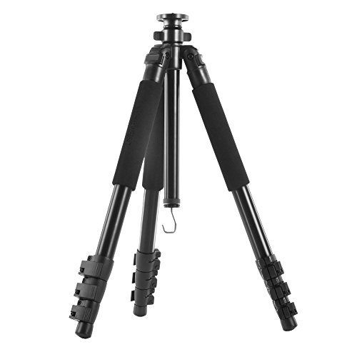 Walimex Pro FT-663T Pro Stativ (153 cm)