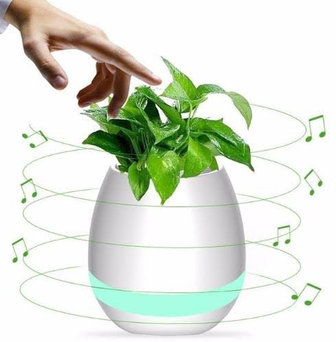 Renyke Music Flowerpot,Smart Plant pots,Touch Music Plant Lamp with Rechargeable Wireless Bluetooth Speaker and LED Night Light (Without Plant) Special Launch Offer!!!! - (Color May Vary) RS.399 (75.00% Off) - Amazon Renyke Music Flowerpot,Smart Plant pots,Touch Music Plant Lamp with Rechargeable Wireless Bluetooth Speaker and LED Night Light (Without Plant) Special Launch Offer!!!! - (Color May Vary) RS.399 (75.00% Off) - Amazon
