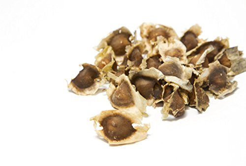 Moringa Samen Bio von Pura Planta – 200 keimfähige Moringa Samen vom Wunderbaum Moringa oleifera | Inkl. Anzuchtanleitung für deinen Moringabaum. 100% Bio Moringa Samen keimfähig. - 5