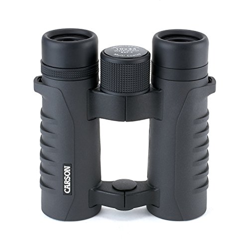 Carson Optical 10 x 34 RV Series Open-Hinge Compacto y Resistente al Agua prismáticos - Negro