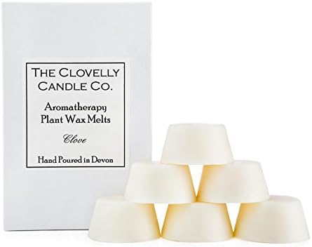 Clovelly Soap Co Handmade Natural Scented Clove Aromatherapy Soy Wax Melts Box of 6 Tarts
