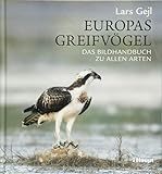 Image de Europas Greifvögel: Das Bildhandbuch zu allen Arten