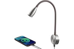 acegoo Wohnmobil Leselampe 12V mit Typ C Schnellladegerät LED Dimmbar Leseleuchte Spot Bett Lampe, Flexible Schwanenhals Nachttisch DC 24V 3200K, für Boot Wohnwagen Camper Van Yacht(Nickel gebürstetl)