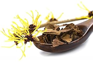 KRÄUMA Virginia Zaubernuss 10 Samen