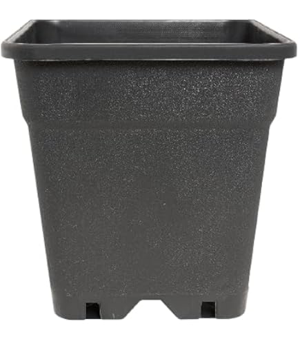 PAFEN Blumenkbel Blumentopf mit Untersetzer quadratisch (30x30 cm,  terrabraun): Amazon.de: Garten