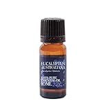 Mystic Moments | Eucalyptus Australiana Essential Oil - 10ml - 100% Pure