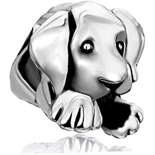 Amazon.co.uk pandora house charm