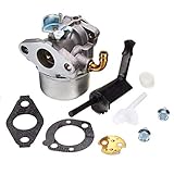 Se ajusta a Briggs & amp; Modelos Stratton: 591299,798650, 698474, 791991, 698810, 698857, 698478, 694174, 690046, 693751
