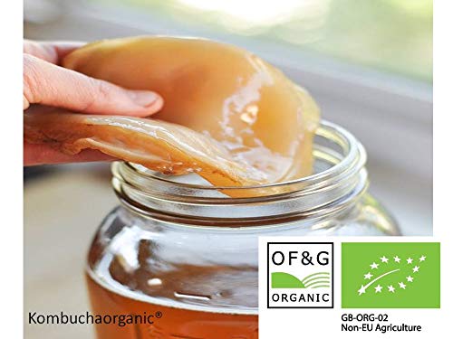 Organic Kombucha Scoby - Live Culture by Dpnamron