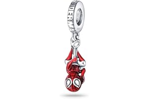 CQWVB Charms Beads 925 Sterling Silver for Pandora Bracelet, Dangle Pendant Charms for Necklace and Bracelet Jewelry Gifts for Women