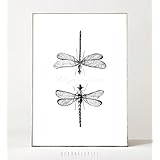 Kunstdruck / Poster LIBELLEN -ungerahmt- Zeichnung, Skizze, Insekt, minimalistisch