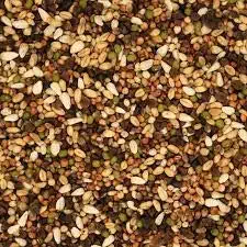 HANU Bajri Bird Food 1KG | Mix Seed for Budgies, Love Birds, Cocktails and Finches, Small Birds 04