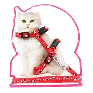 PSK PET MART Cat Adjustable Nylon Printed Harness Strap Collar with Leash Set Small Pet Walking for Kitten, Red