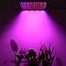 Produktbild 45W LED Wachsen Licht, GXZOCK 45W LED Wachsen Licht, Venoya-Vollspektrum UV-IR-Rot-Blau-225-LED-Pflanzenwuchslampe Für Hydroponics-Aquaponics-Gewächshaus-Sämlinggemüse Und -blume