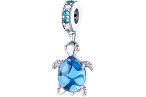 Panderu Charm Anhänger 925 Sterling Silber für Pandora Armbänder, S925 Bead Charms with 5A Cubic Zirconioa kompatibel mit Europäische Armbänder Halskette
