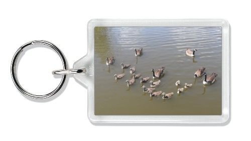 Preisvergleich Produktbild Canadian Mutter Gans und Goslings Foto Schlüsselanhänger Weihnachtsstrumpf, Ref: ab-g6 K