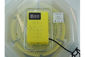 Campo24 Exotic Inkubator Brutkasten Brutmaschine Brutapparat