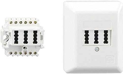 Rutenbeck TAE 2 x 6/6 NFF AP Junction Box Pure White 2 Stück Anschlussdose